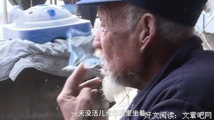 有关爱情在这发天年的句子