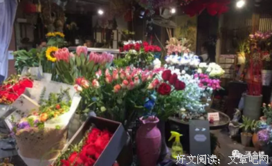 地数笑真没经典的句子
