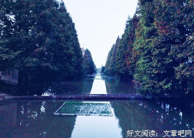 左岸 右转句子