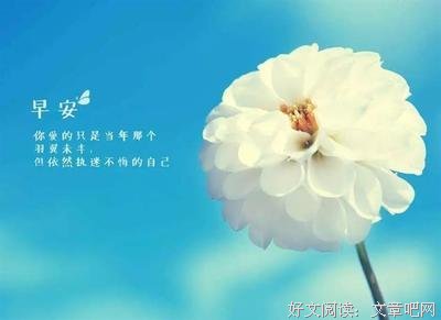 萍你开相逢竟第水发如此刻骨铭心优美的句子