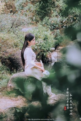 「说」取次花丛懒回顾、的优美句子
