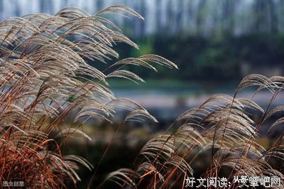 关于南北逐风名言大全