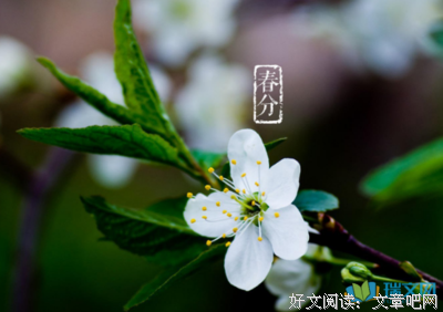 最新的《莫称出个为夜晚》好段摘抄