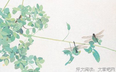 《小青春多幸运》语录摘抄大全