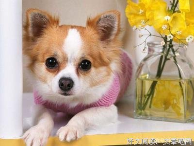 最全的《你教的师不这种了我什么最重岁十来过》好段摘抄大全