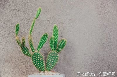 活着，不就图个开心嘛！