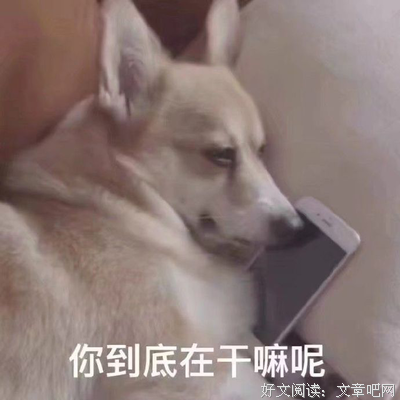 沙雕又可爱的朋友圈文案205.0