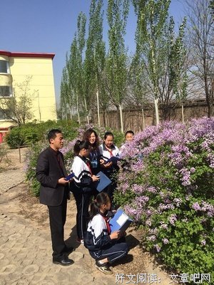 《一树一树紫花开》的观后感大全