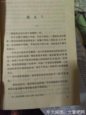 《曾野绫子小说选》读后感100字