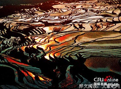 破碎的四月读后感摘抄