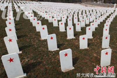 《蝴蝶公墓》的读后感大全