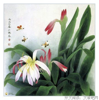 唯美意境句集。句子