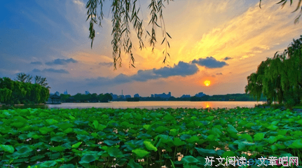 《Classic English sayings》的句子