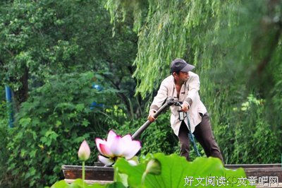 么都说妹声夫人着好词好句