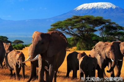 《末日之旅》经典影评1000字