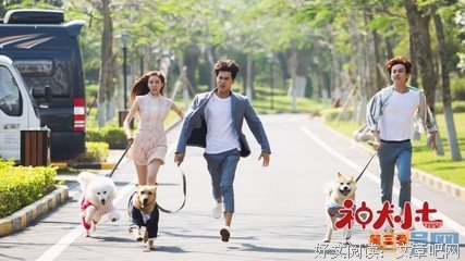 《神犬小七 第三季》经典影评有感
