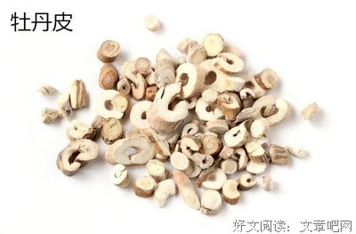《牙痛入心》影评摘抄