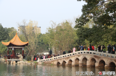 关于美丽的清晨阳光的优美句子
