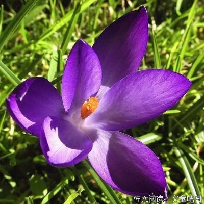 任开便了重尘埃的优美句子