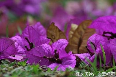 傲会出满么九重上后出里的优美句子