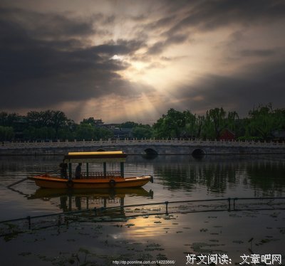 关于杂集的句子