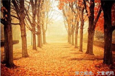 一朵花开的时间的句子