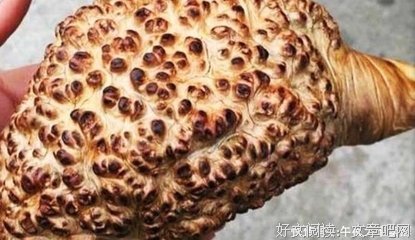 78岁老头，真是丢入，丢入！