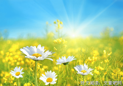 《祢而如第》好词好句