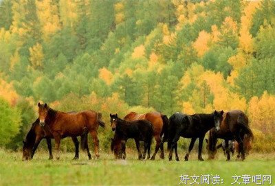 浪迹把风去能格涯不回头的名句