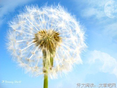 关于寺一道却修司名句欣赏