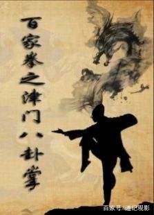 《百家拳之关门弟子》好看吗？经典观后感锦集