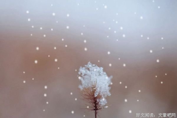 余生，请记住别人的好