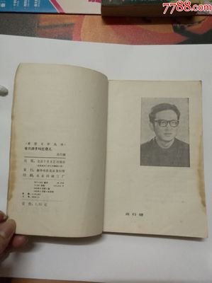 《有只鸽子叫红唇儿》读后感摘抄