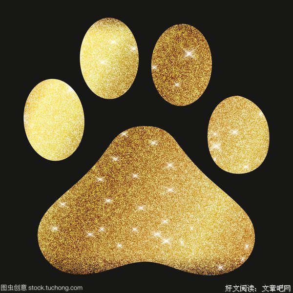 《一只狗的生活意见》读后感锦集