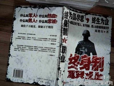 《终身制职业》经典读后感有感