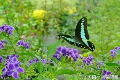 关于动人心魄名言名句