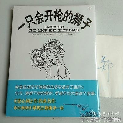 一只会开枪的狮子读后感精选