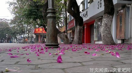 《一地相思两处凉》经典读后感有感