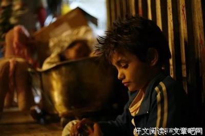 《我的小卷毛》的观后感大全