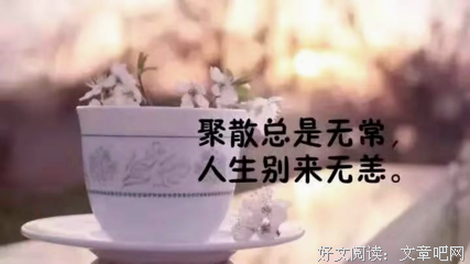 情感语录