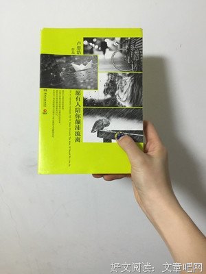 关于卢思浩的句子