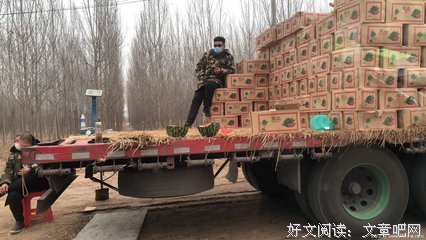 关于坏过大来子的优美句子