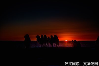最新的《花火2017家好一开有A人海茫茫相遇像沙漠下了雨》经典的句