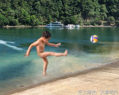 足球小将经典读后感有感
