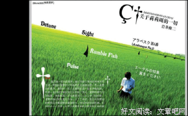 《关于莉莉周的一切》读后感1000字