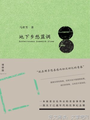 《地下鄉愁藍調》的读后感大全