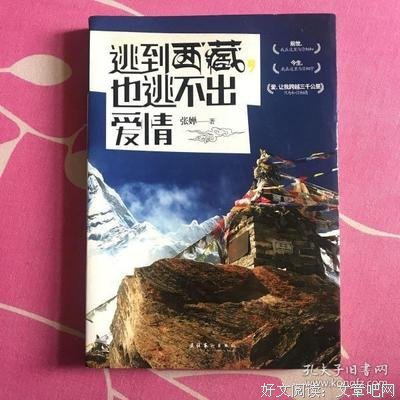 《逃到西藏也逃不出爱情》读后感100字