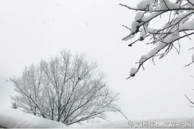 溜冰娃娃经典读后感有感