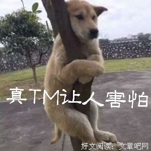 华尔街的肉读后感摘抄