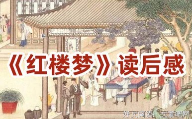 《歧路佳人》读后感100字